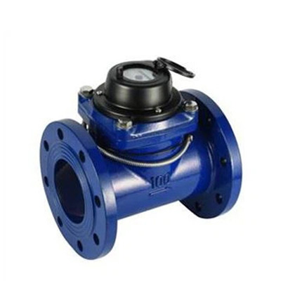 NBFS Model Woltman Industrial Water Meter